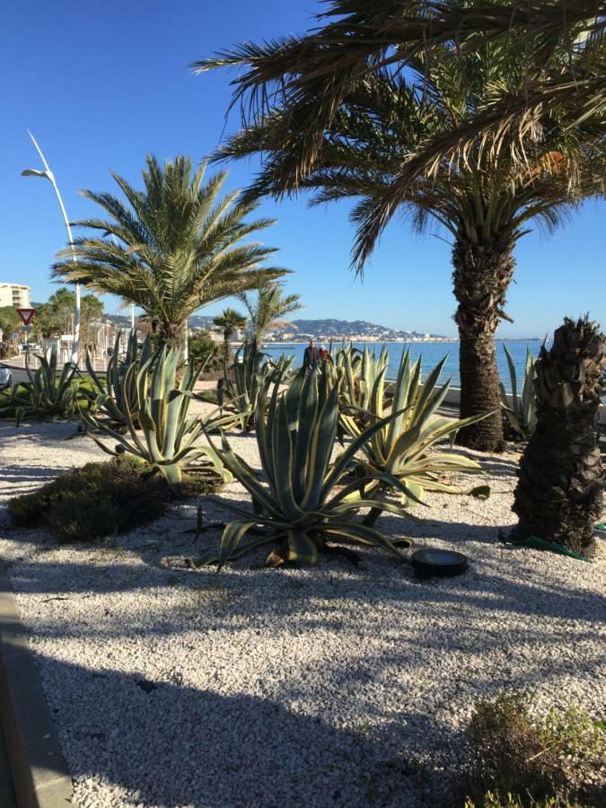 Appartement Belle Azur Cannes Exterior foto